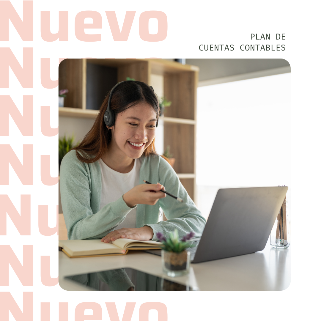 PLAN DE CUENTAS CONTABLES